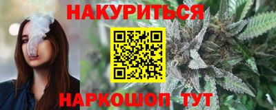 шишки Гай
