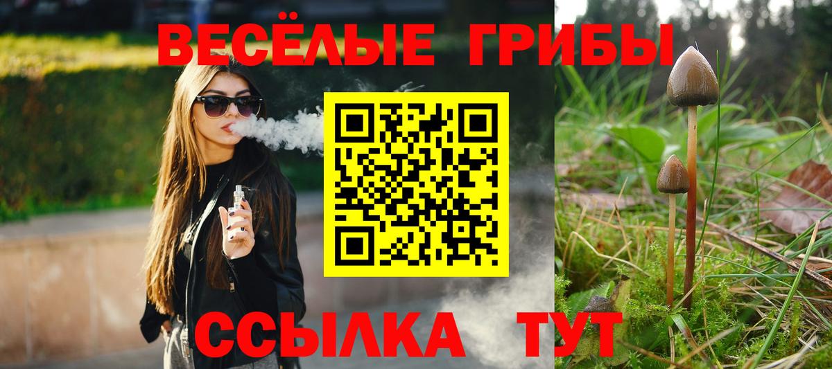 Псилоцибиновые грибы Cubensis Муравленко