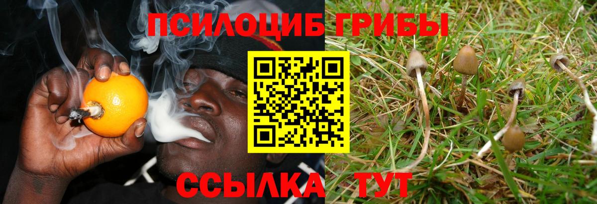 Псилоцибиновые грибы ЛСД  Вход с VPN  Галлюциногенные грибы MAGIC MUSHROOMS  Муравленко 